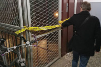 Novi detalji nesreće u Banjaluci: Lift bio preopterećen, tragediju spriječilo automatsko kočenje
