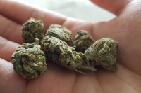 Pronađena marihuana kod maloljetnika