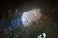 Prerušen u ovcu pokušao pobjeći iz zatvora