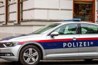 Penzioner porijeklom iz BiH osuđen zbog napada metalnom šipkom