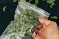 U selu kod Trebinja pronađena torba sa 22 kilograma marihuane