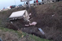 Otkačila se prikolica na Prijedorskoj petlji: Prasići se rasuli okolo