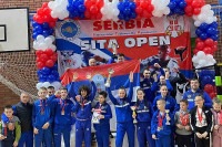 Srpski soko drugi u Loznici