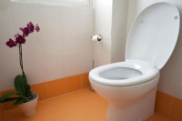 Znate li zašto uvijek trebate spuštati dasku od WC školjke?