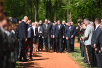 Доња Градина