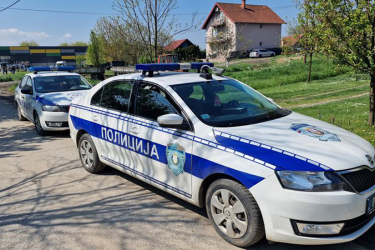 Veternik