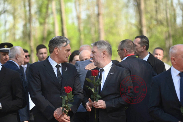 Доња Градина