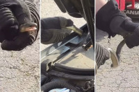 Tuzlanski vatrogasci u nesvakidašnjoj intervenciji, pogledajte kako su izvukli zmiju iz automobila