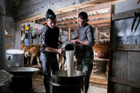 Prekomjeran uvoz gasi male farme