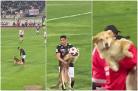 Urnebesan video: Nestašni pas uletio na fudbalski teren i ukrao loptu igračima