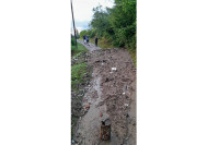 Poplave