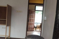 "I ovce došle na glasanje": Nenajavljena posjeta domaćih životinja na biračkom mjestu