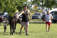 Omiljeni Nikolin konj otišao u penziju: Evo ko je sada glavni trkač i glavni Jokićev adut