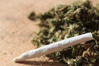 U pretresu pronađena marihuana