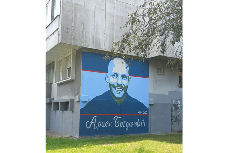 Мурал на згради у Борику