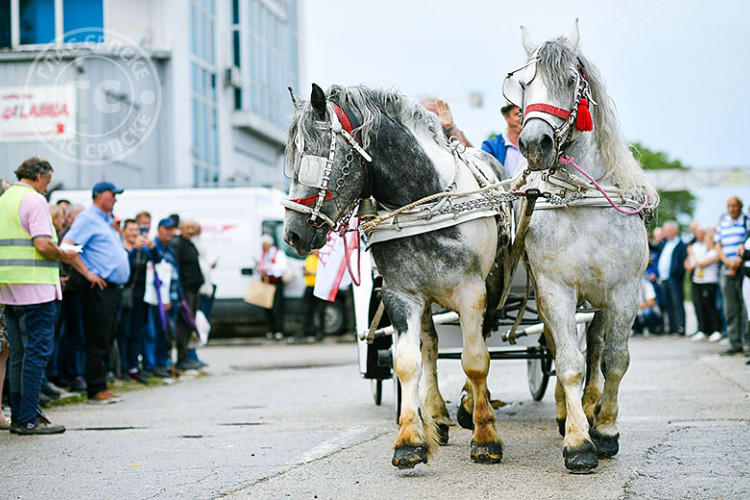 Tradicionalni defile kočija na Duhovski utorak