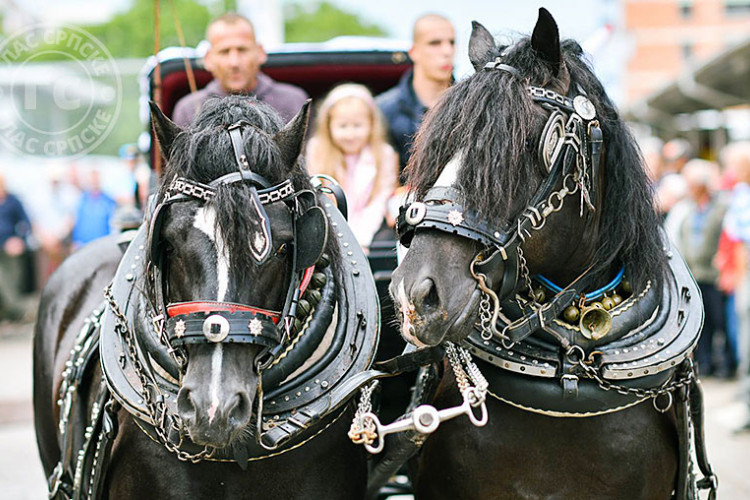 Tradicionalni defile kočija na Duhovski utorak
