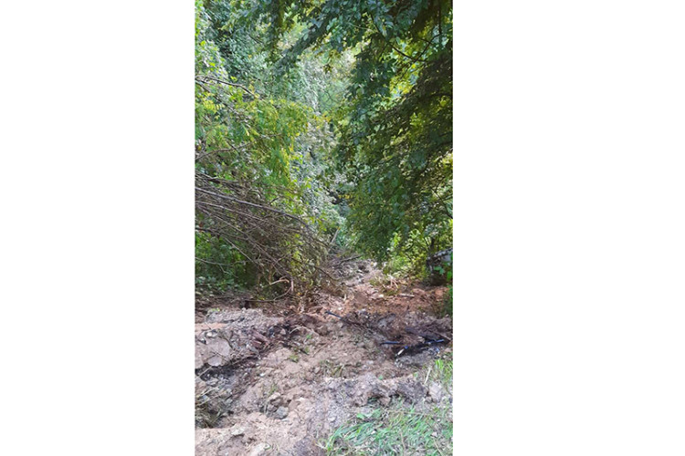 Poplave
