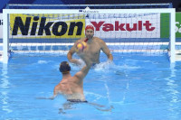 Delfini posle peteraca savladali Crnu Goru