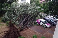 Snažno nevrijeme u Banjaluci, vjetar rušio drveće FOTO
