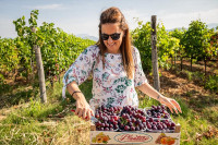 Crna Gora vapi za sezoncima: Za rad na plantažama dnevnica od 25 do 50 evra