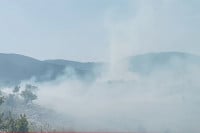 Krave stradale u velikom požaru kod Gacka