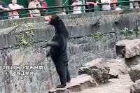 Kineski zoološki vrt odbacuje tvrdnje da su njegovi medvjedi ljudi u kostimima VIDEO