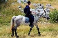 Novak Đoković posjetio etno selo katun Durmitor, s porodicom uživao u jahanju