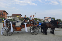Održana prva "Fijakerijada", dominirali lipicaneri