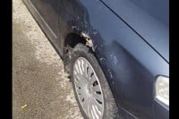 Pitbul oštetio automobil