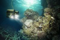 Riješena misterija Bermudskog trougla?