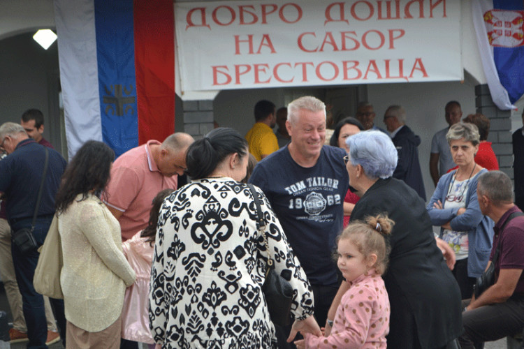 Сабор Брестоваца
