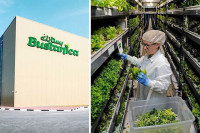 U Dubaiju najveća vertikalna poljoprivredna farma u svijetu