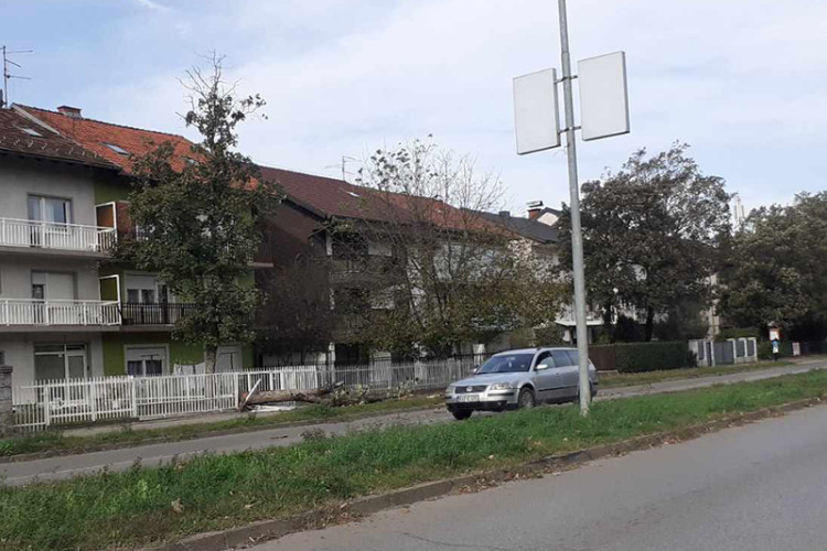 Дрво пало у Бањалуци