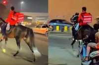Skupo gorivo i gužva nisu mu prepreka: Ovaj dostavljač koristi - konja (VIDEO)
