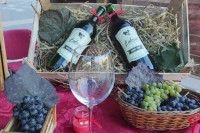Mladi Semberac se vratio iz Slovenije i posvetio vinogradarstvu: Može se i u Srpskoj odlično živjeti