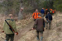 Ozren: 600 lovaca vratilo se iz hajke na vuka bez trofeja