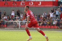 Vidić pogodio četvrtfinale