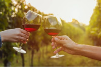 Dobro vino rađa svaki pedalj Srpske