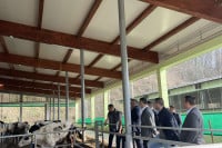 Minić: Farma Arsenić primjer rentabilne proizvodnje