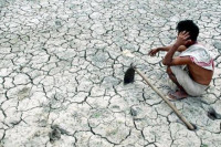 Čuveno voće izumire zbog klimatskih promjena?