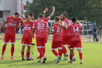 Vidić ostaje u Doboju