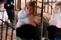 Oglasila se bečka policija o navodnom snimku Danke Ilić