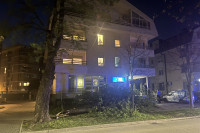 Vjetar oborio stablo u Banjaluci: Oštećeni automobili, dio ulice bez struje