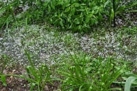 Doboj pogodilo nevrijeme