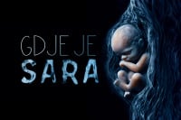Krivične prijave za odgovornost u slučaju „Sara“