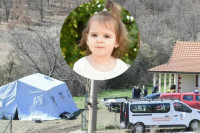 Потрага за Данком: Ватрогасци претражују жбуње