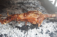 Paprene cijene: Evo koliko košta kilogram jagnjetine