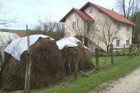 Ćulibrku devet godina robije: Krao drva pa ubio vlasnika šume