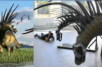 Otkrivena nova vrsta dinosaurusa u Argentini